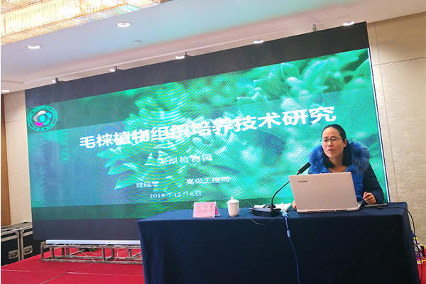 毛梾产业国家创新联盟成立大会 暨第一届理事会在泰安隆重召开