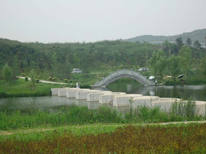 泰安滨湖路绿化工程