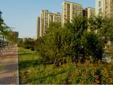 济南市北湖片区历黄路景观绿化工程