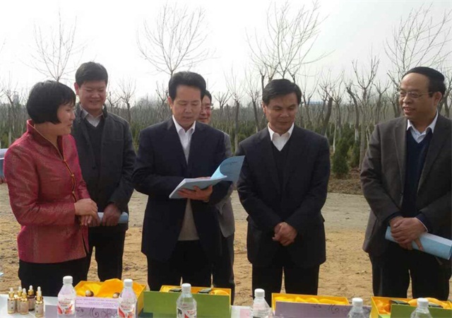 省林业厅吴庆刚厅长（右三）、陈站长（左三）来苗圃指导工作